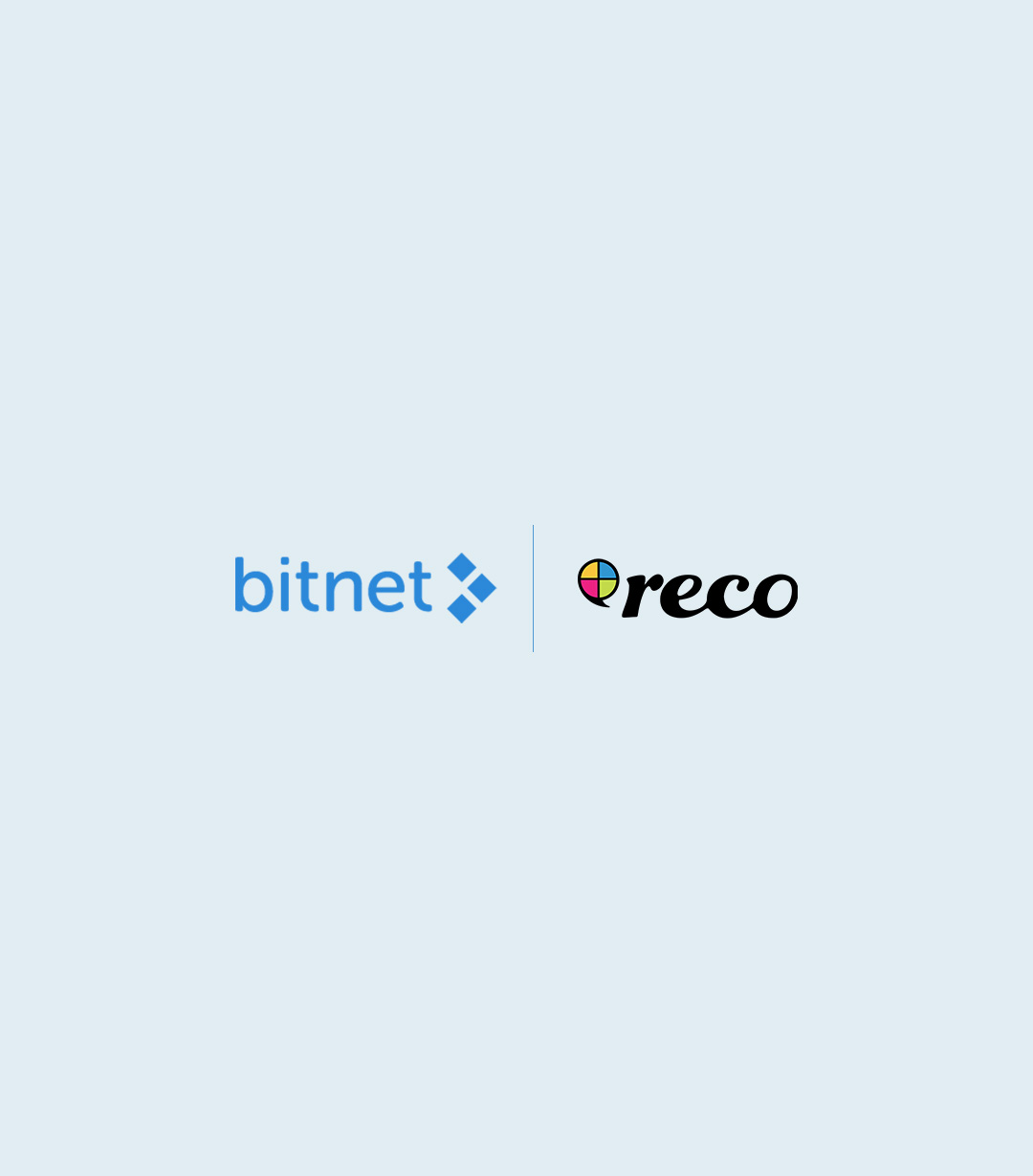 Bitnet_Reco_stående