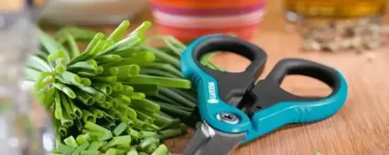 https-www.reco.seodla-nu