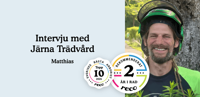 intervju-jarna-tradvard (3)